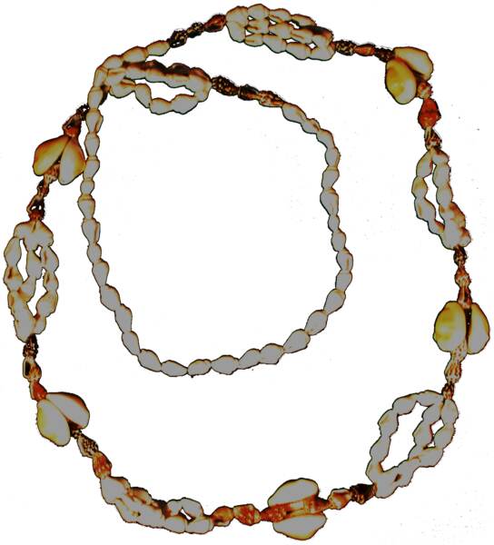 Necklace of seashells