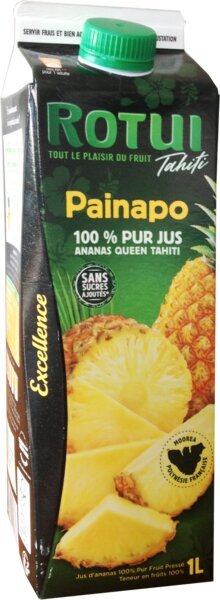 Fruit juice - Painapo - 100% Pineapple