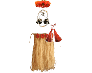 Hula Tahitian costume - Adult STANDARD size - natural